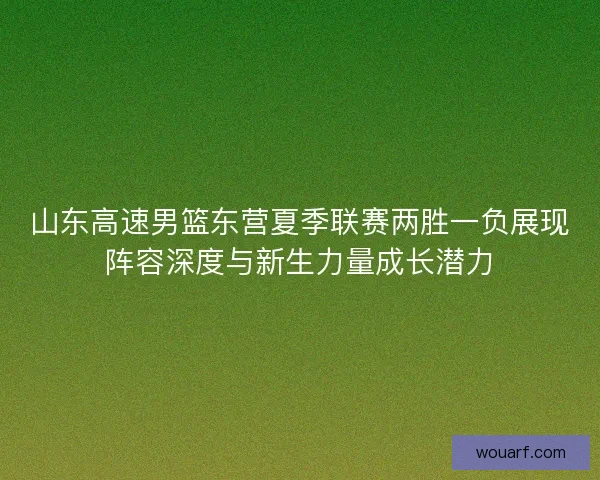 山东高速男篮东营夏季联赛两胜一负展现阵容深度与新生力量成长潜力 山东高速男篮东营夏季联赛两胜一负展现阵容深度与新生力量成长潜力