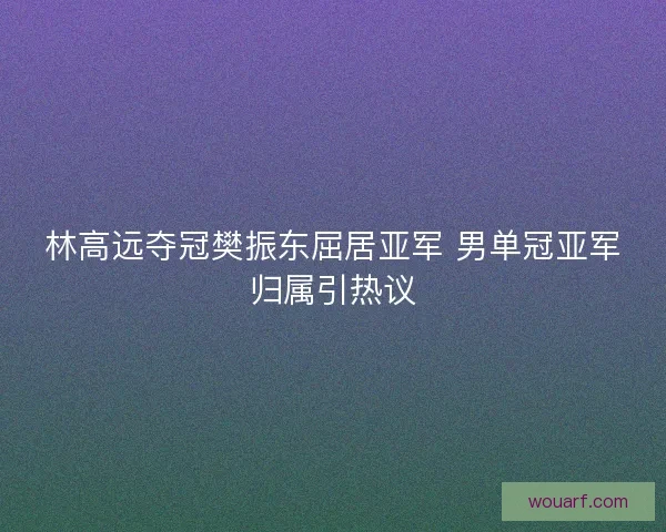 林高远夺冠樊振东屈居亚军 男单冠亚军归属引热议